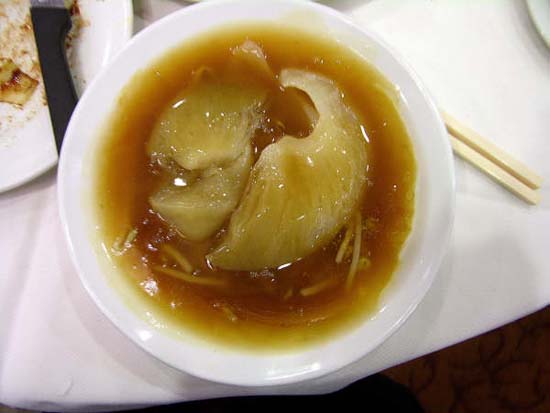 Vi cá mập không chống được ung thư