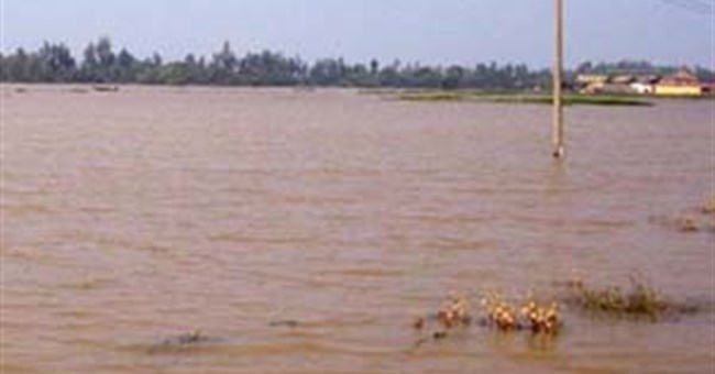 Khí hậu Việt Nam đang trở nên dị thường