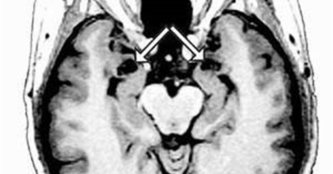 Người không biết sợ