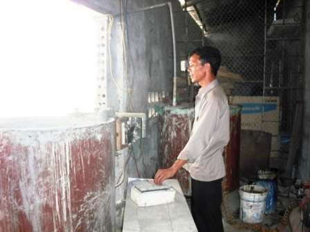 Độc đáo những viên gạch nổi trên mặt nước