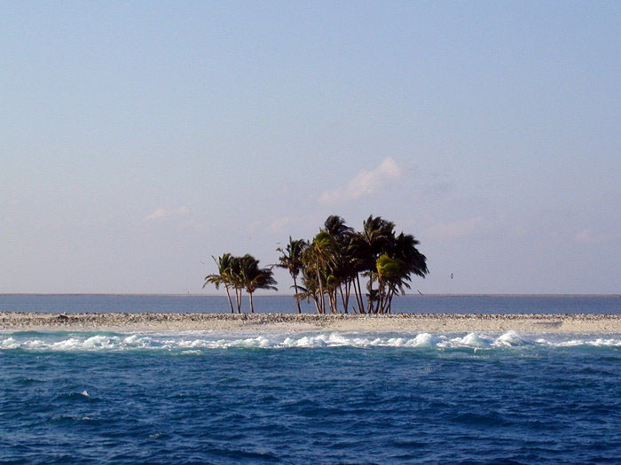 Nhà khoa học nghiên cứu đảo lạ ngoài khơi Mexico