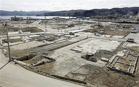 Sự sống hồi sinh trên "vùng đất chết" Fukushima