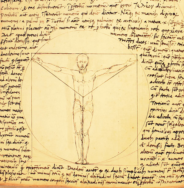 Leonardo da Vinci “đạo” tranh của bạn thân?