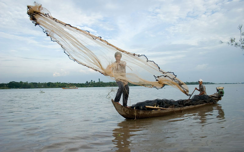 Đập nhỏ đe dọa tới các loài cá trên sông Mekong