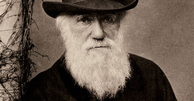 Sáng tỏ nghi án Darwin “đạo” ý tưởng 