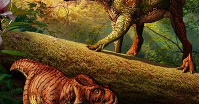 Phát hiện hóa thạch khủng long có sừng "siêu tí hon"