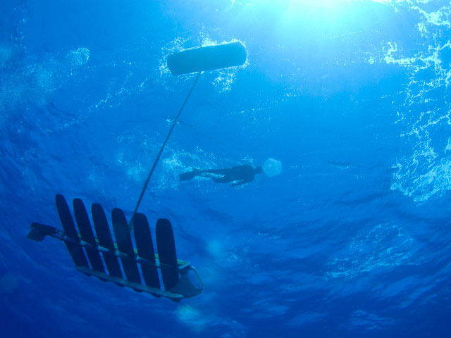 Robot không người lái phá kỷ lục thế giới bơi 