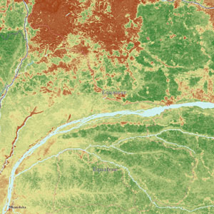 Bản đồ online về trữ lượng các-bon rừng mưa toàn cầu 