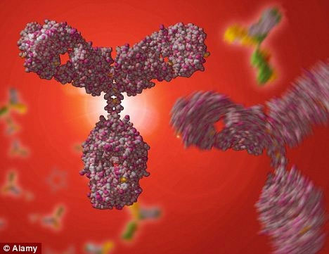 Mỹ: Phát hiện kháng thể mới điều trị 7 loại ung thư