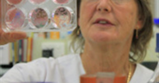 Australia sản xuất thuốc chống cúm mới hiệu quả cao