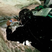 Bí ẩn hang động của “Người ngoài hành tinh” tại Úc