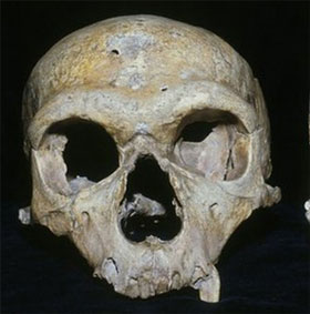 Người Neanderthal tuyệt chủng vì mắt quá to?