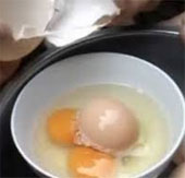 Video: Xem quả trứng nằm trong trứng