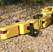 Video: Khả năng bơi và di chuyển của Salamandra Robotica II