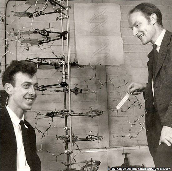Mô hình DNA của Watson và Crick