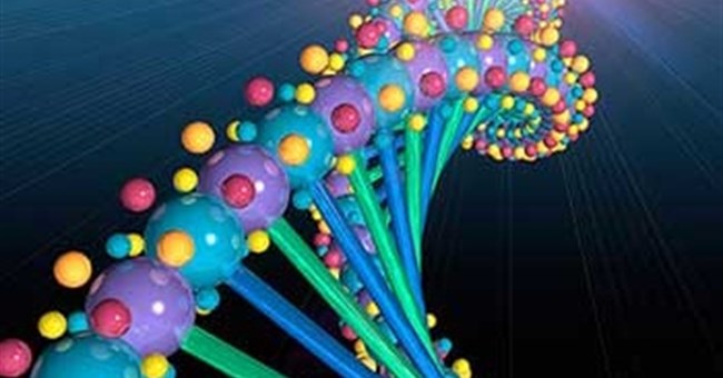 Mối quan hệ hợp tác trong việc nghiên cứu bộ gen người