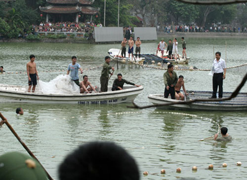 Điều trị cho cụ Rùa 