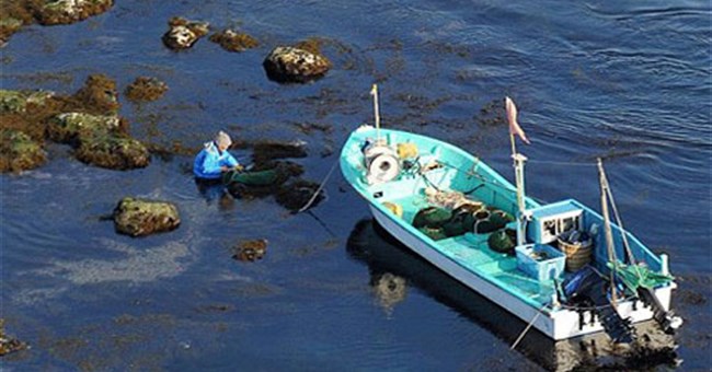 Không quá lo ngại hải sản nhiễm phóng xạ