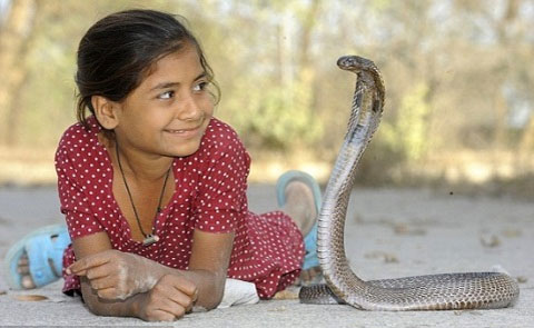 Cô bé 8 tuổi chỉ thích chơi... rắn độc