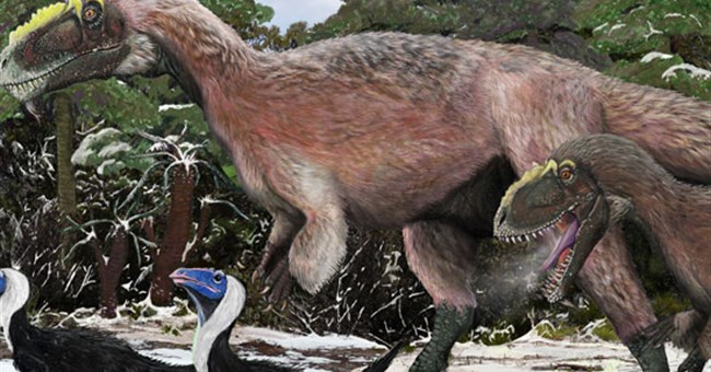 Phát hiện khủng long bạo chúa có lông cực đẹp