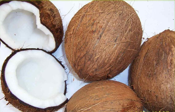 Giảm cơn khát điện bằng quả dừa