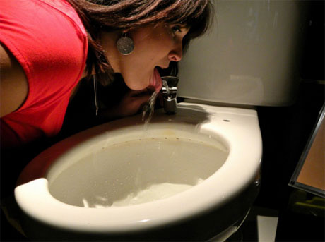 Phiên bản thử nghiệm của thiết bị biến nước thải từ toilet thành nước uống sẽ ra đời vào năm 2013. 