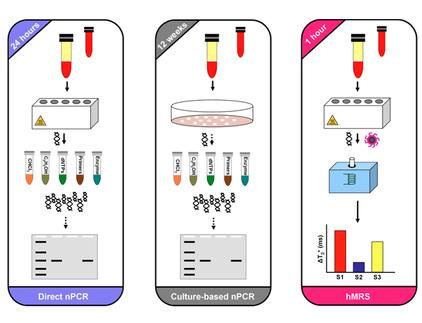 Phát hiện "bách bệnh" với công nghệ nano