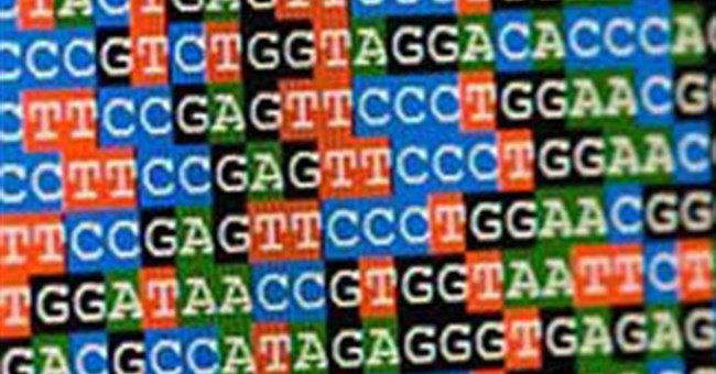 Tại sao con người lại có độ thông minh khác nhau?