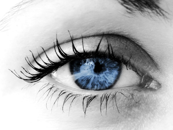 Cấy tế bào để giúp người khiếm thị phục hồi thị lực?