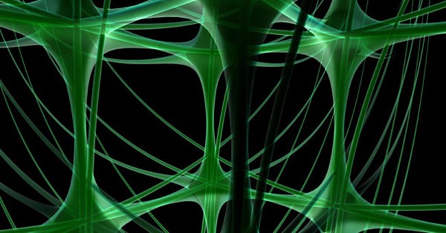 Kỹ thuật mới giúp tái tạo các dây thần kinh