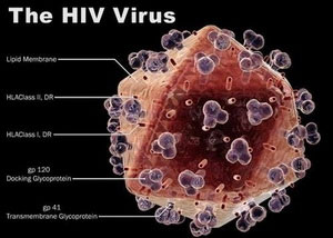 Phát hiện ra phân tử làm lây HIV trong cơ thể người