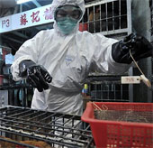 Hai người Trung Quốc chết vì cúm gia cầm H7N9