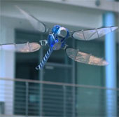 Chuồn chuồn robot "nuột" như thật