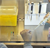 Mỹ chuẩn bị bào chế vắcxin kháng virus cúm H7N9