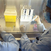 Đã có thuốc có khả năng điều trị cúm gia cầm H7N9