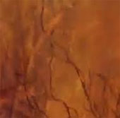 Video: Hỏa hoạn tàn khốc trên đồng cỏ