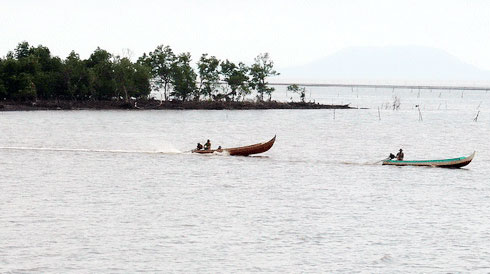 Vườn quốc gia Mũi Cà Mau được công nhận khu Ramsar