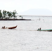 Vườn quốc gia Mũi Cà Mau được công nhận khu Ramsar