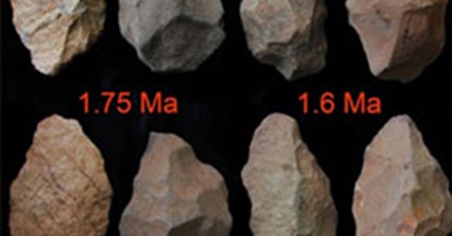 Giải mã sự tiến hóa ở bàn tay người