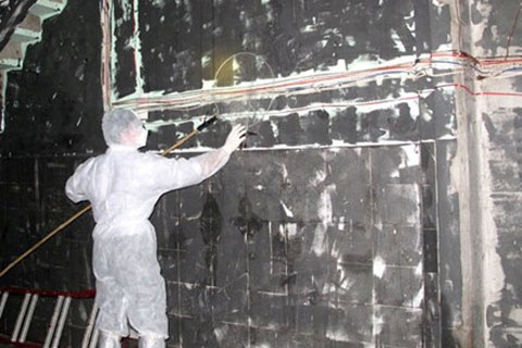 Vòng vo chuyện công bố dịch chim yến nhiễm H5N1