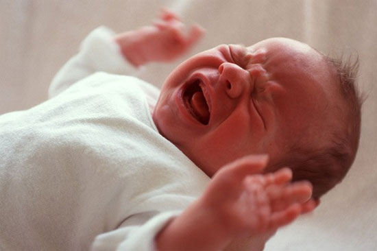 Cha, mẹ rành tiếng khóc của con như nhau
