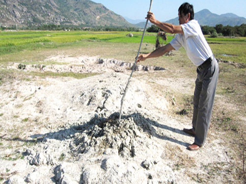 Bùn “lạ” ở Ninh Thuận: Chưa thể khảo sát là do thiếu kinh phí