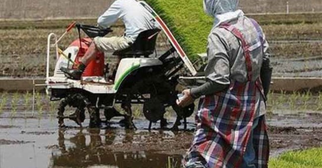 Ngôn ngữ Nhật xuất phát từ bán đảo Triều Tiên