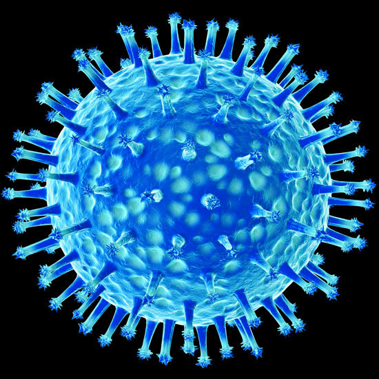 Công bố tài liệu nghiên cứu đầu tiên về virus cúm mới