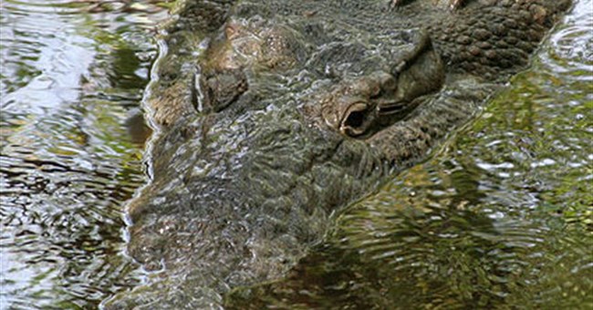 Phát hiện loài cá sấu cực lớn, nuốt chửng được người