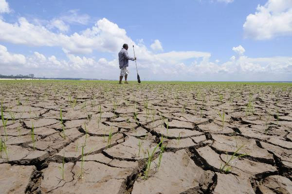 Brazil: Hạn hán nghiêm trọng nhất nửa thế kỷ qua