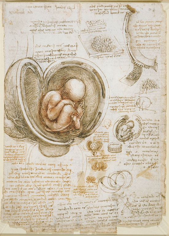 Sai lỗi trong bức tranh nổi tiếng của Leonardo da Vinci