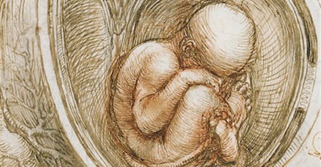 Sai lỗi trong bức tranh nổi tiếng của Leonardo da Vinci