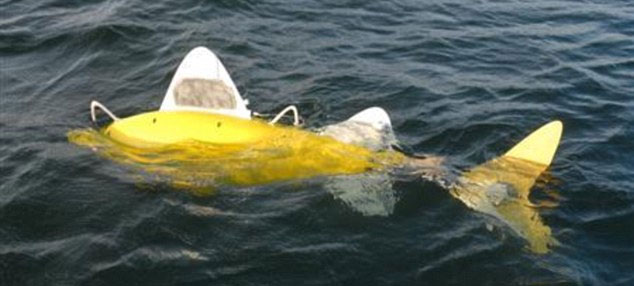 Chú robot cá được thử nghiệm tại vùng biển gần Gijon, Tây Ban Nha trong việc phát hiện chất ô nhiễm trong nguồn nước