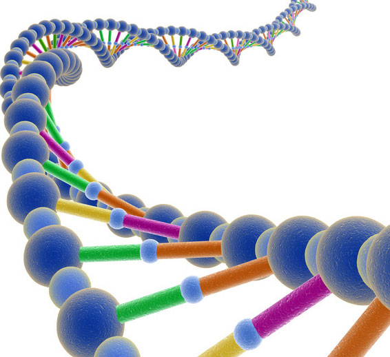 Biến ADN thành “ổ cứng sống”